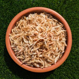 চিংড়ি শুঁটকি