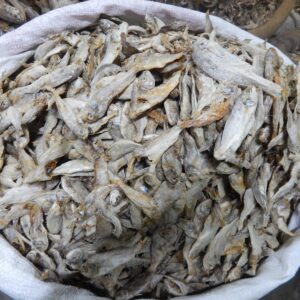 গাং কই শুঁটকি