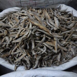 গচি (গুচি বাইম) শুঁটকি