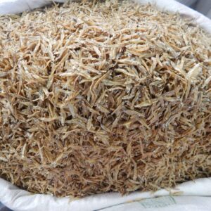 কাচকি শুঁটকি